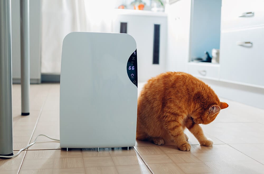 Preventing Compressor Overload in HVAC Systems: Causes and Tips - UrbanAir